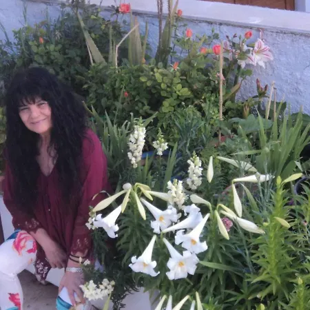 Flowers' Appartement Naxos City