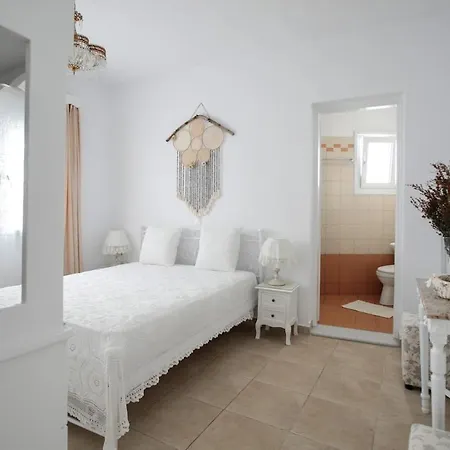 Апартаменты Flowers' Naxos City