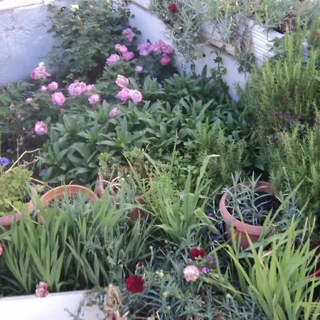 Flowers' *
